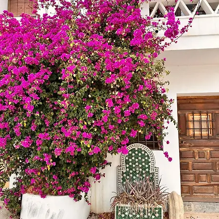 Hébergement de vacances Casa Casco Antiguo