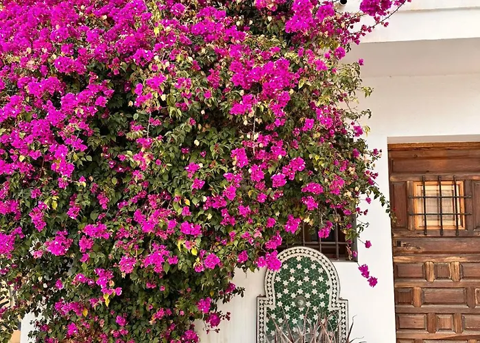 Hébergement de vacances Casa Casco Antiguo