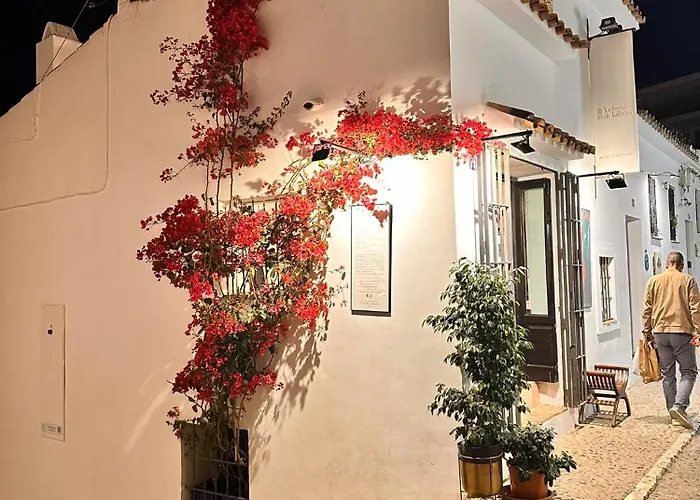 Casa Casco Antiguo
